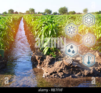 Natürliche Bewässerung der Landwirtschaft. Hohe Technologien und Innovationen in der Agroindustrie. Studie Qualität der Boden und Ernte. Wissenschaftliche Arbeit und Entwicklung o Stockfoto