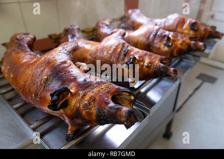 Gebratenes Ferkel auf spuckt in die Art und Weise traditionelle portugiesische Region Bairrada, Setúbal, Portugal Stockfoto