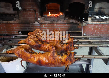 Gebratenes Ferkel auf spuckt in die Art und Weise traditionelle portugiesische Region Bairrada, Setúbal, Portugal Stockfoto