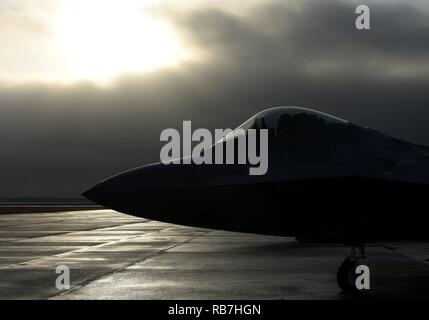 Ein US Air Force F-22 Raptor sitzt auf der Flightline während der karierten Flagge 17-1 an Tyndall Air Force Base, Fla., Nov. 5, 2016. Für zwei Wochen, die Raptors werden mit älteren und 5. Generation der Luftwaffe aus dem ganzen Land. Stockfoto