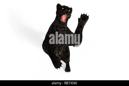 3d-Abbildung der Black Panther Isolieren auf weißem Hintergrund mit Freistellungspfad, Black Tiger Stockfoto