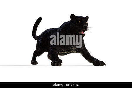 3d-Abbildung der Black Panther Isolieren auf weißem Hintergrund mit Freistellungspfad, Black Tiger Stockfoto