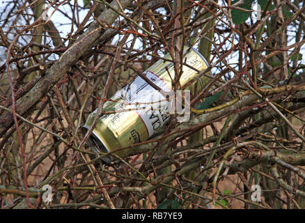 Eine leere Getränke können Sie an einem strassenrand in der Landschaft von Norfolk eingelegt. Stockfoto