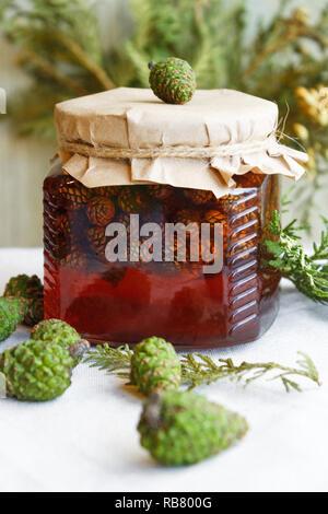 Junge Tannenzapfen jam Stockfoto