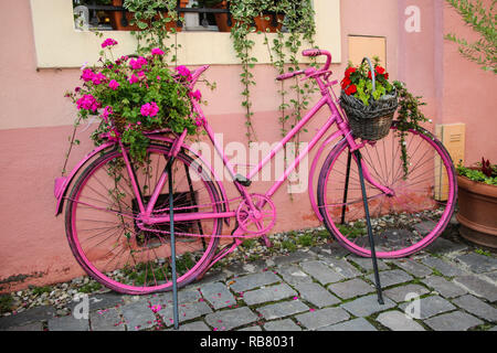 Rosa Fahrrad mit Körbe mit Blumen in der Nähe der Wand dekoriert Stockfoto