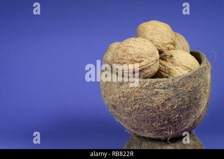 Stapel der gesamten gemeinsamen Walnüsse mit Schale in natürlichen Coconut shell Schale auf hellen blauen Hintergrund Stockfoto