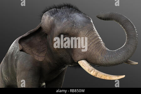 3D-Illustration Elefant isolieren auf schwarzem Hintergrund, Elefant in dunklen mit Freistellungspfaden. Stockfoto