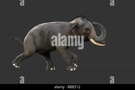 3D-Illustration Elefant isolieren auf schwarzem Hintergrund, Elefant in dunklen mit Freistellungspfaden. Stockfoto