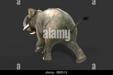 3D-Illustration Elefant isolieren auf schwarzem Hintergrund, Elefant in dunklen mit Freistellungspfaden. Stockfoto