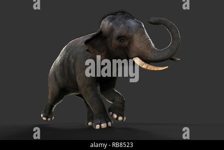 3D-Illustration Elefant isolieren auf schwarzem Hintergrund, Elefant in dunklen mit Freistellungspfaden. Stockfoto