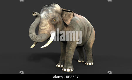 3D-Illustration Elefant isolieren auf schwarzem Hintergrund, Elefant in dunklen mit Freistellungspfaden. Stockfoto