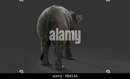 3D-Illustration Elefant isolieren auf schwarzem Hintergrund, Elefant in dunklen mit Freistellungspfaden. Stockfoto