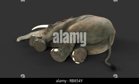 3D-Illustration Elefant isolieren auf schwarzem Hintergrund, Elefant in dunklen mit Freistellungspfaden. Stockfoto