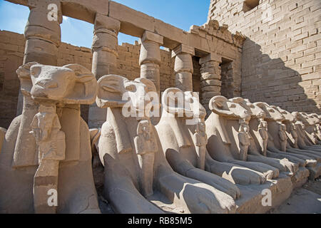 Ram unter der Leitung Sphingenallee auf alten ägyptischen Karnak Tempel in Luxor Stockfoto