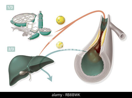 Cholesterin ABBILDUNG Stockfoto