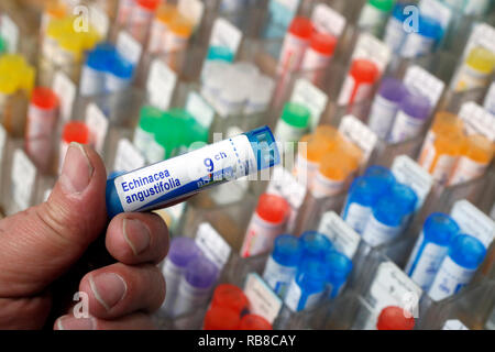 Apotheke. Die homöopathischen Arzneimittel. Echinacea angustifolia. Frankreich. Stockfoto