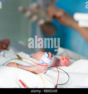 Eine Baumschule Krankenschwester kümmert sich um ein frühgeborenes Baby. Krankenhaus. Aix-en-Provence. Stockfoto