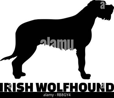 Irish Wolfhound silhouette real mit Word Stockfoto