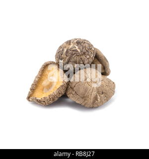 Medium getrocknete Shiitake-pilze isoliert auf einem weißen Hintergrund. Stockfoto