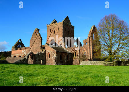 Die alten Ruinen von Sweetheart Abbey - eine alte Zisterzienserkloster - im Dorf neue Abtei, Dumfries und Galloway, Schottland entfernt. Stockfoto