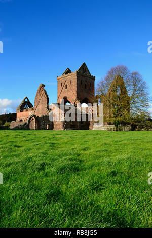 Die alten Ruinen von Sweetheart Abbey - eine alte Zisterzienserkloster - im Dorf neue Abtei, Dumfries und Galloway, Schottland entfernt. Stockfoto