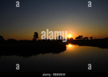 Schönen Sonnenuntergang, während auf einem Fluss Safari im Okavango Delta in Botswana Stockfoto