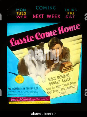 Roddy McDowall 'Lassie Startseite ' Film Werbung kommen Stockfoto