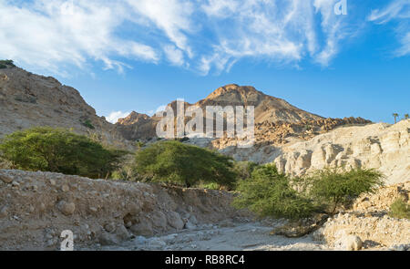 Nahal wadi David in der Nähe des Toten Meeres mit dem Ein Gedi Naturschutzgebiet auf der linken Seite, die Schule auf der rechten Seite und Mt yishai im Hintergrund Stockfoto