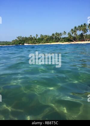 Indischen Ozean und den wunderschönen Strand mit Palmen Stockfoto