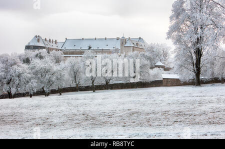 Winter Baum mit Burg Cerveny Kamen, Slowakei Stockfoto