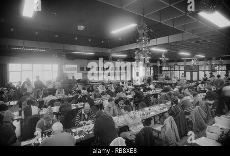 Hastings 66th Annual International Chess Congress. Challenger Turnier. England, Großbritannien, 1990 Stockfoto