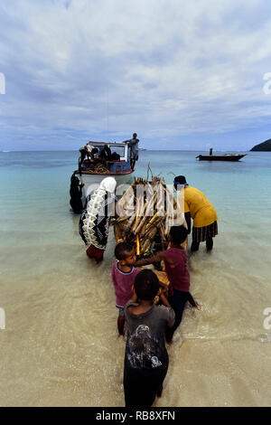 Lokalen Dorf Familie entladen Holz von einem Boot aus, Yaqeta Island. Yasawa Inseln. Fidschi. South Pacific Stockfoto