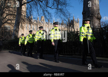 Die Metropolitan Police Officers stehen außerhalb der Häuser des Parlaments in London, als die Polizei in der Nähe von Parlament haben 'unterrichtete entsprechend einzugreifen, "wenn das Gesetz gebrochen ist nach Tory Wartungstafel Anna Soubry sie ignorieren Missbrauch an Politiker und Journalisten geschleudert vorgeworfen. Stockfoto