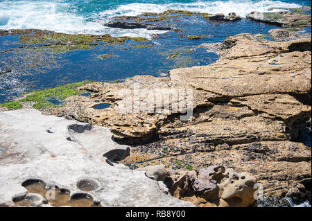 Küsten Szene, Sydney, New South Wales, Australien. Bunte Rock Pools, die von Wind und Erosion. Gegensatz zu surfen und das türkisfarbene Meer Stockfoto