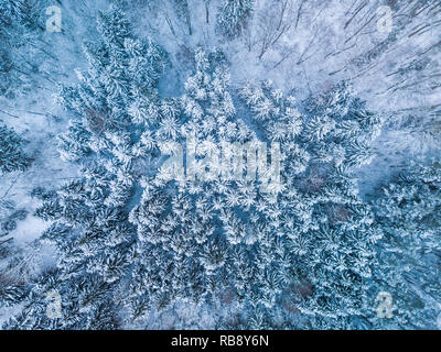 Hintergrund Textur eines gefrorenen Wald im Winter, Luftaufnahme Stockfoto