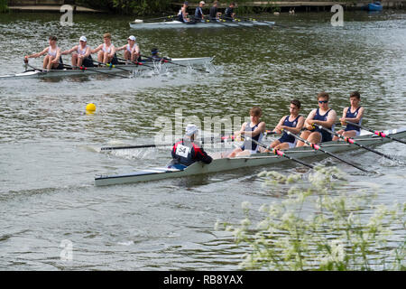 Rudern Mannschaften an der Shrewsbury Regatta konkurrieren auf dem Fluss Severn in Shrewsbury, Shropshire, England, Großbritannien Stockfoto