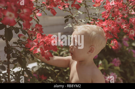 Frühling Blumen. Kindheit. Sommer. Mütter oder Tag der Frauen. Tag der Kinder. Kleines Baby Boy. Neues Leben Konzept. Frühling Urlaub. Kleine Jungen an der blühenden Blume. Unmöglich Duft Stockfoto