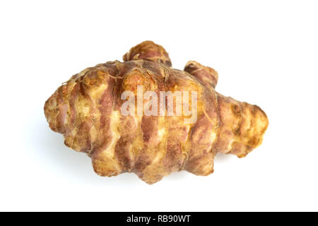 Detailansicht von Topinambur (Helianthus tuberosus) auf weißem Hintergrund. Close-up von Topinambur Wurzeln isoliert auf weißem Hintergrund. Stockfoto