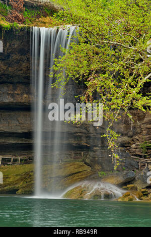 Hamilton Creek Wasserfall und Hamilton Pool, Hamilton Pool bewahren Travis County, Texas, USA Stockfoto