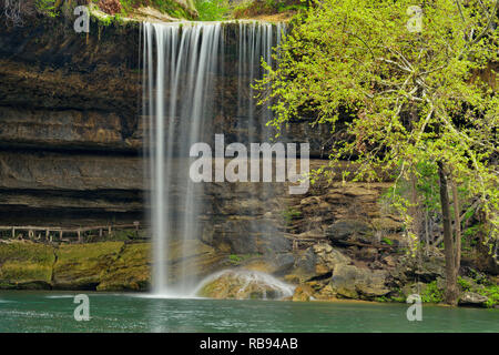 Hamilton Creek Wasserfall und Hamilton Pool, Hamilton Pool bewahren Travis County, Texas, USA Stockfoto