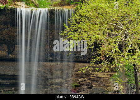 Hamilton Creek Wasserfall und Hamilton Pool, Hamilton Pool bewahren Travis County, Texas, USA Stockfoto