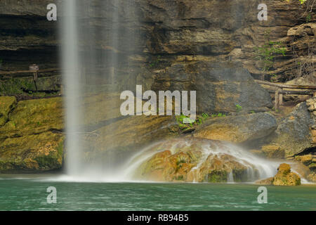 Hamilton Creek Wasserfall und Hamilton Pool, Hamilton Pool bewahren Travis County, Texas, USA Stockfoto