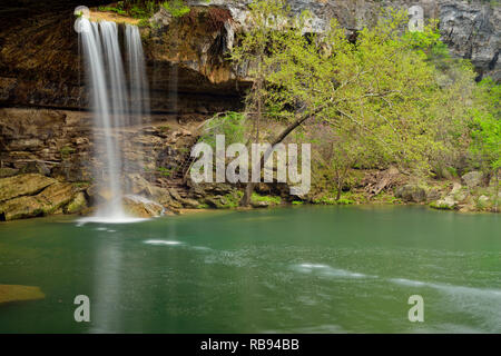 Hamilton Creek Wasserfall und Hamilton Pool, Hamilton Pool bewahren Travis County, Texas, USA Stockfoto