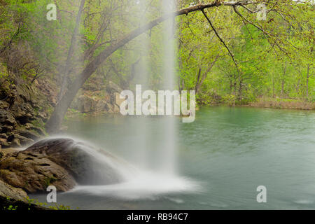 Hamilton Creek Wasserfall und Hamilton Pool, Hamilton Pool bewahren Travis County, Texas, USA Stockfoto