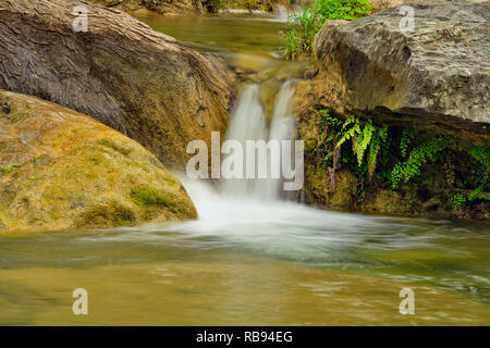 Wasserfall auf Hamilton Creek, Hamilton Pool Preserve Travis County Parks, Texas, USA Stockfoto