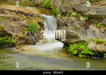 Wasserfall auf Hamilton Creek, Hamilton Pool Preserve Travis County Parks, Texas, USA Stockfoto