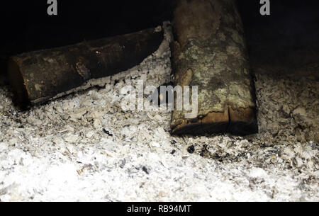 Feuer Flammen in Brand Katastrophen der Natur, Detail Stockfoto