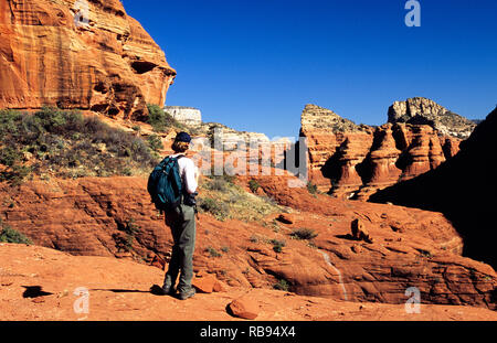 Wanderer mit Blick auf den Roten Felsen in Sedona, Arizona Stockfoto