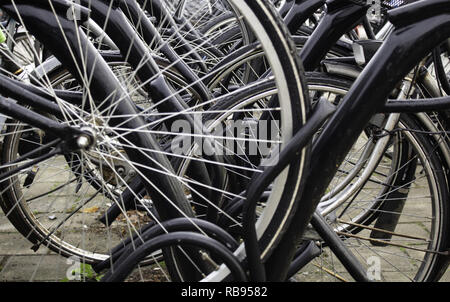 Typische Fahrräder in Holland geparkt, Transport in der Stadt, Tourismus in Europa Stockfoto