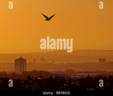 Glasgow, Schottland, Großbritannien, 8. Januar, 2019. UK Wetter: Sonnig sonnenaufgang Tag über den Süden der Stadt, wie es im warmen Licht leuchtet. Kredit Gerard Fähre / alamy Leben Nachrichten Stockfoto